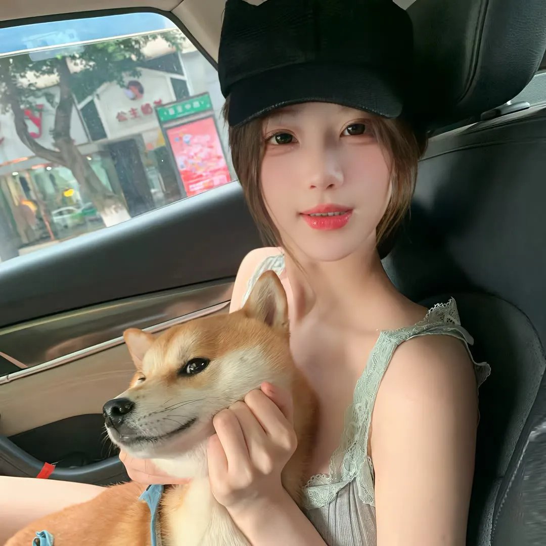 萌犬派崔克海报